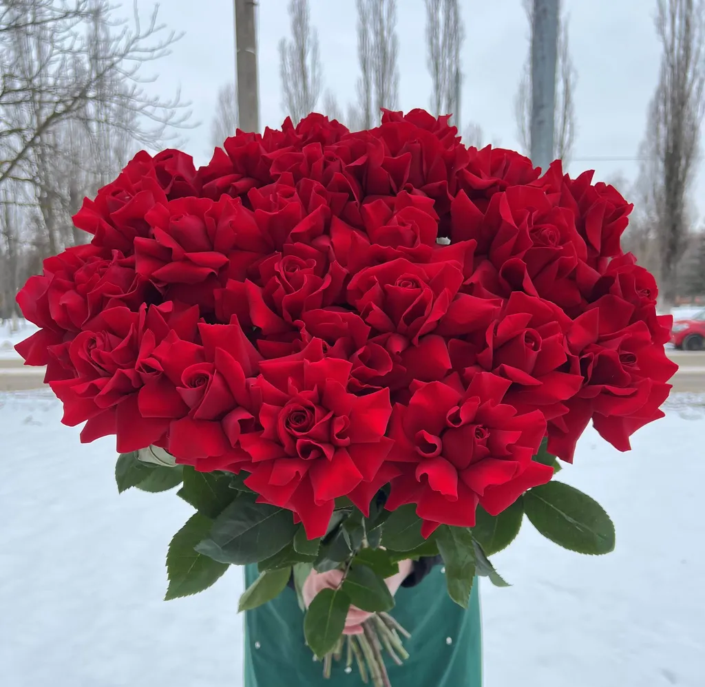 Красные французкие розы 70см. 